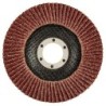 GRAPHITE Grinding disc 115 x 22.2 mm, K36 — 55H980
