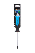 Blue Spot Tools Phillips Hex Bolster Screwdriver (PH2 x 100mm)