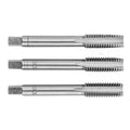 TOPEX Hand tap M10, DIN 352 3pcs. in plastic box — 14A210