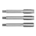 TOPEX Hand tap M12, DIN 352 3pcs. in plastic box — 14A212