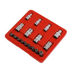 17-piece T Star Bit & Socket Set