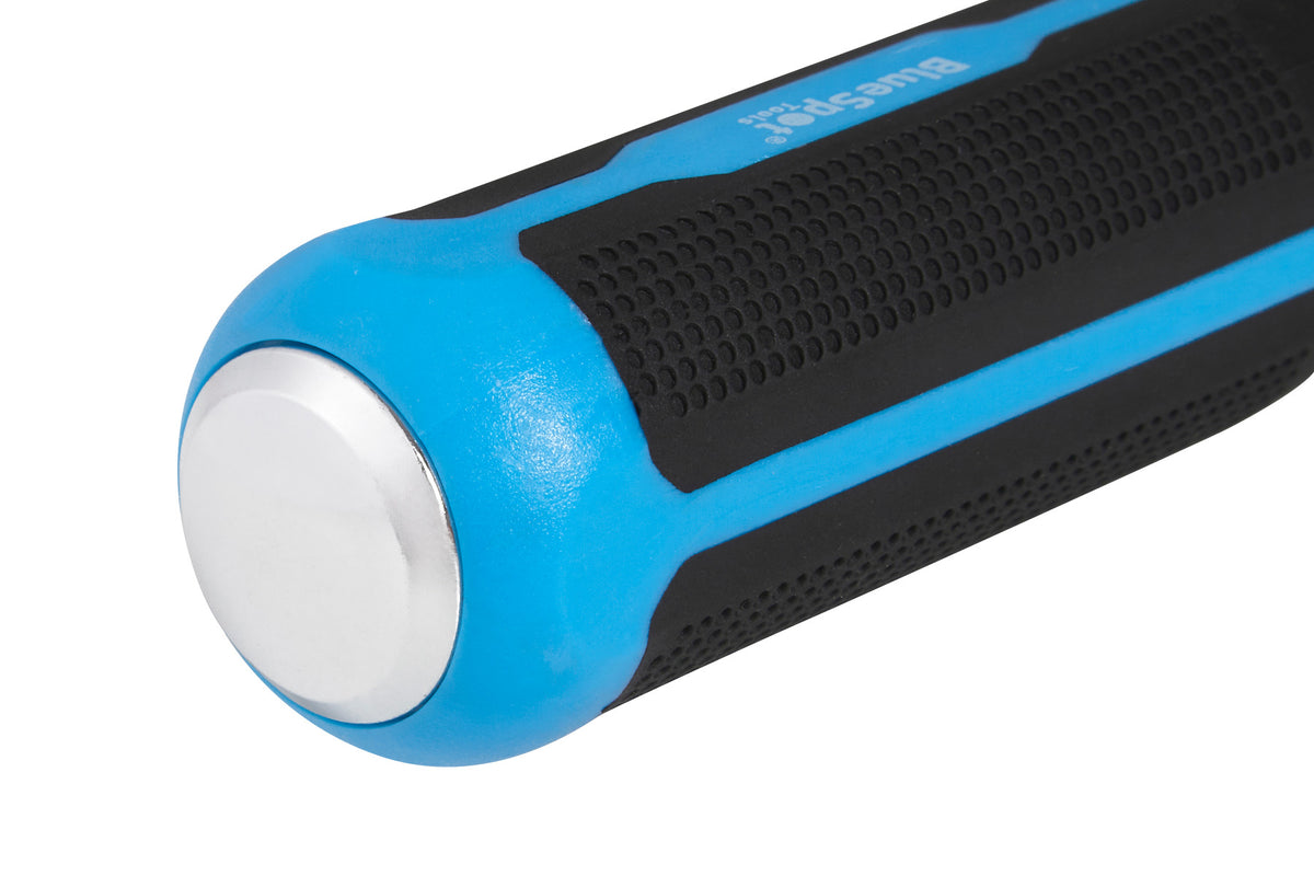 Blue Spot Tools 300mm (12") Heavy Duty Pry Bar With Striking Cap